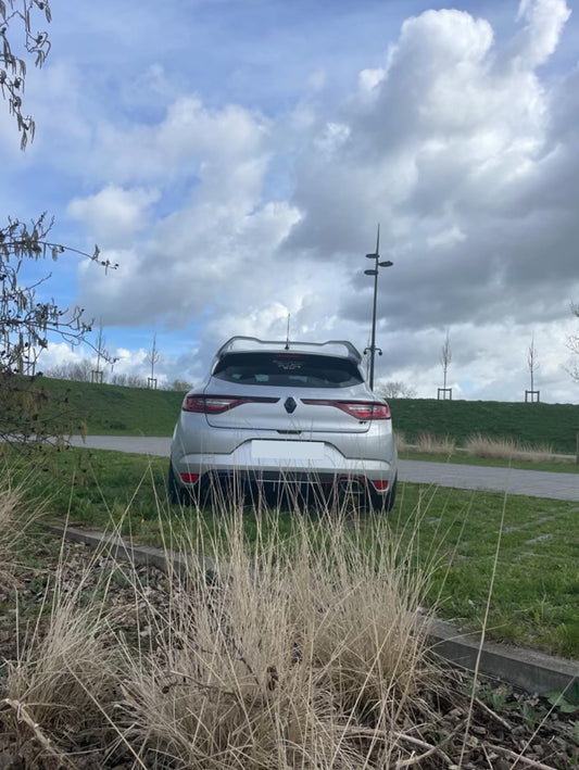 Réplique aileron megane 4rs cup compatible uniquement modèle standard. Ne ce monte pas sur RS!